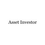 asset-investor.de